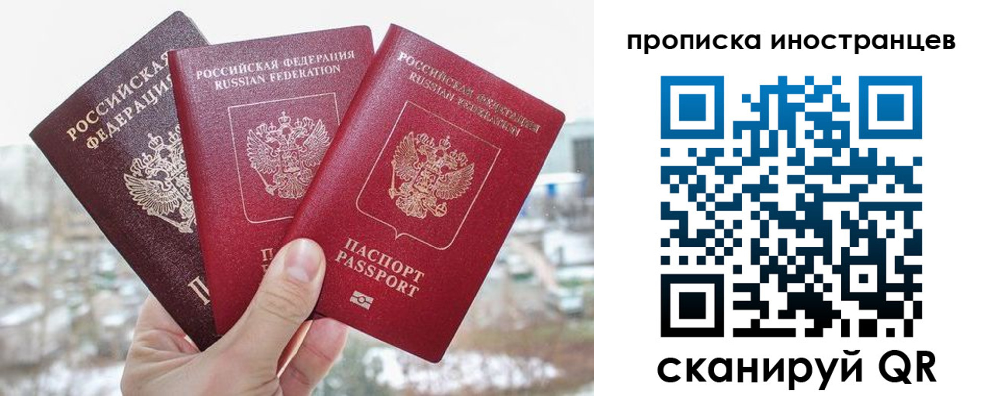 временная регистрация поиск в Советске